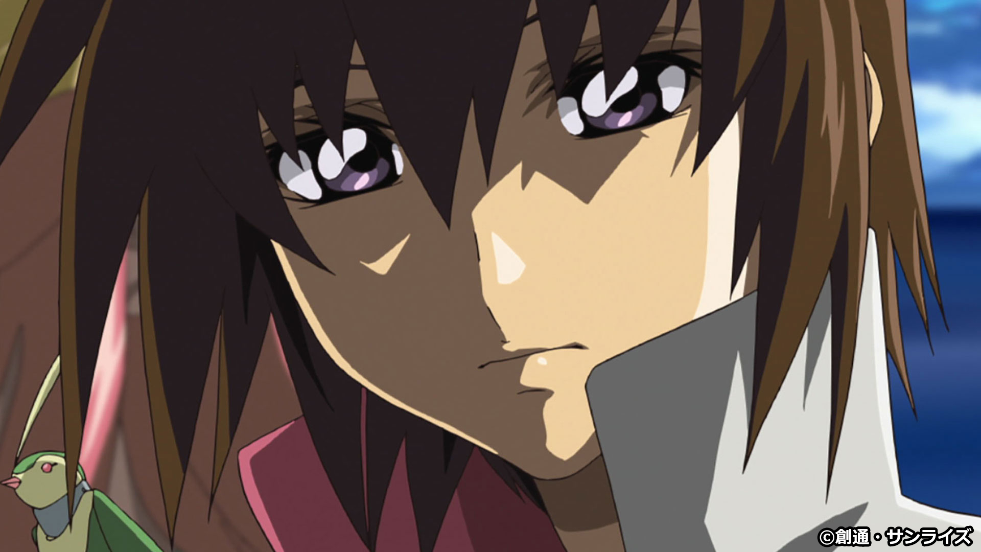 デポー 機動戦士ガンダムseed Destiny アスラン ギルバード Fiqueisemcracha Com Br